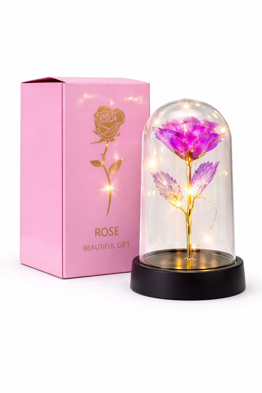 Rosa Eterna Luminosa sotto Campana